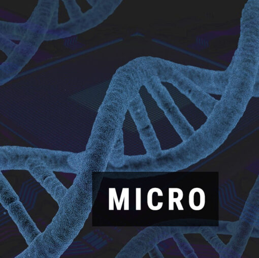 Ilościowe oznaczanie metabolizmu mikrobiomu metodą PCR