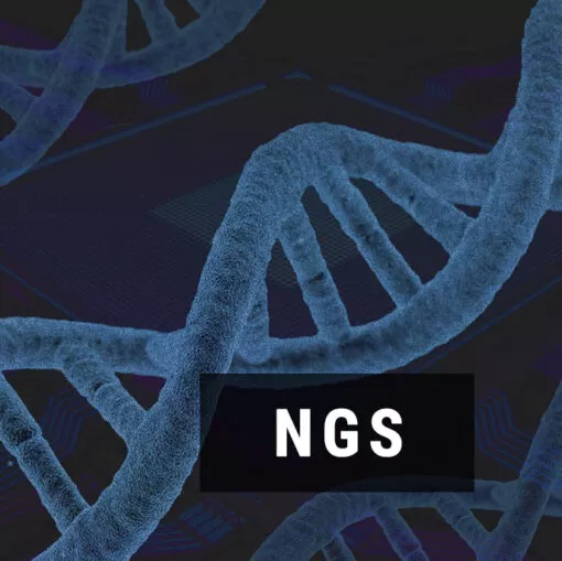 Mikrobiom jelitowy metodą NGS